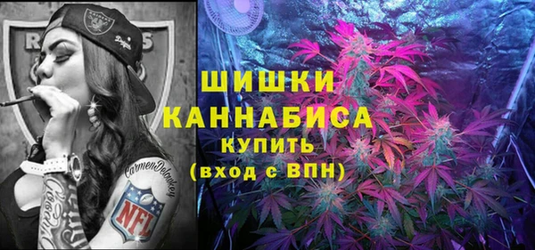мет Ладушкин