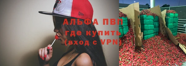 ECSTASY Лагань