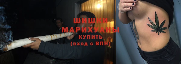 мет Ладушкин