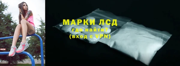 ECSTASY Лагань