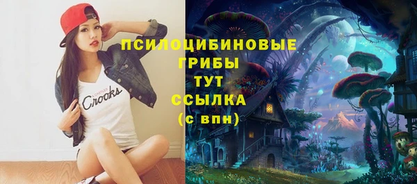 ECSTASY Лагань