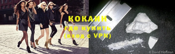ECSTASY Лагань