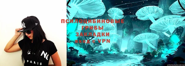 ПСИЛОЦИБИНОВЫЕ ГРИБЫ Лиски
