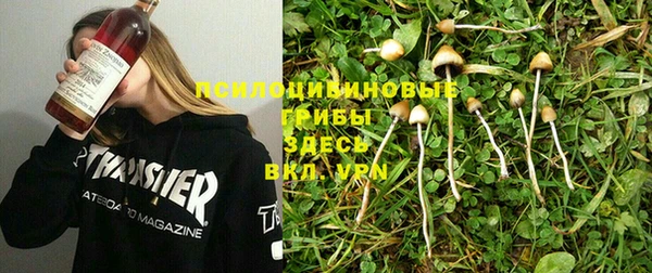 ПСИЛОЦИБИНОВЫЕ ГРИБЫ Лиски